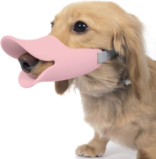 オッポ (OPPO) クァック Mサイズ