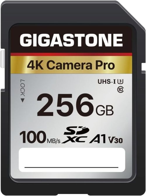 Gigastone SDXCメモリーカード GJSXR4K-256GV3A1