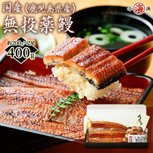 山田水産 国産 鹿児島県産 無投薬鰻