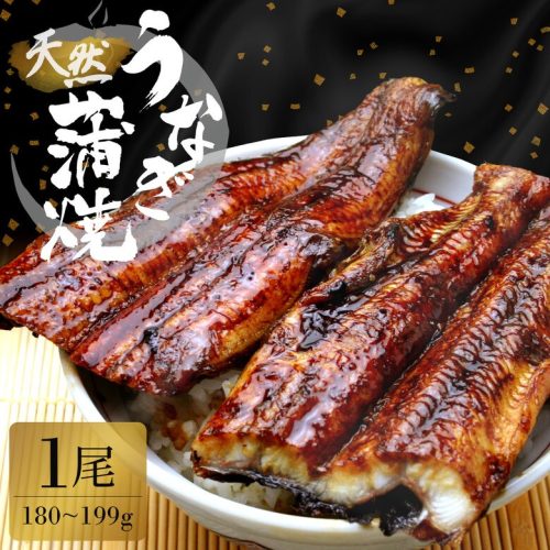 魚佐太 天然 国産 ウナギ 蒲焼