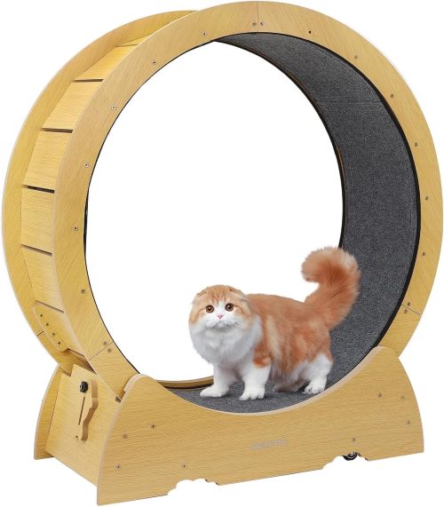 PETPNR キャットホイール