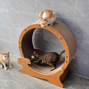 キャットホイールのおすすめ11選。猫が快適に遊べるモデルをラインナップ