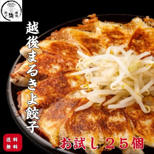 NTフーズ 越後まるきよ餃子