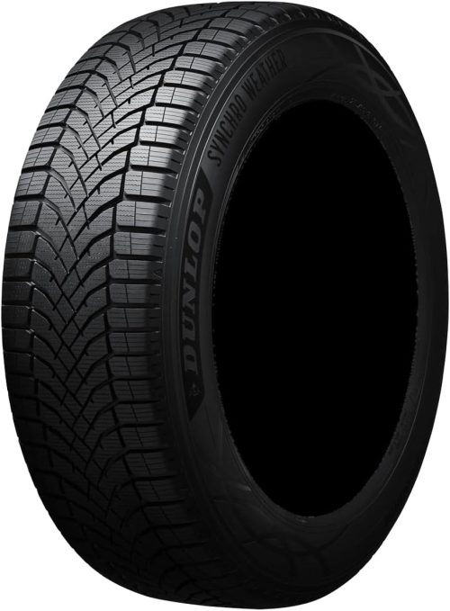 ダンロップ(DUNLOP) オールシーズンタイヤ SYNCHRO WEATHER 205/60R16