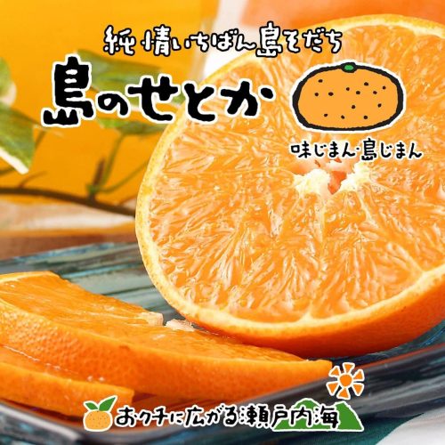 希望の島 せとか 約3kg(15玉)