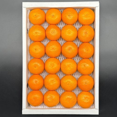 みかん めっちゃ甘いんじゃ 糖度12度以上 箱込2kg