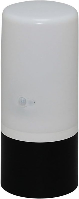 アイリスオーヤマ(IRIS OHYAMA) 電池式ガーデンセンサーライト ZSL-SEW