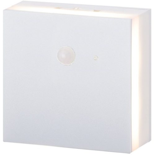 アイリスオーヤマ(IRIS OHYAMA) センサーライト LED 乾電池式 全方向発光タイプ BSL-MS2