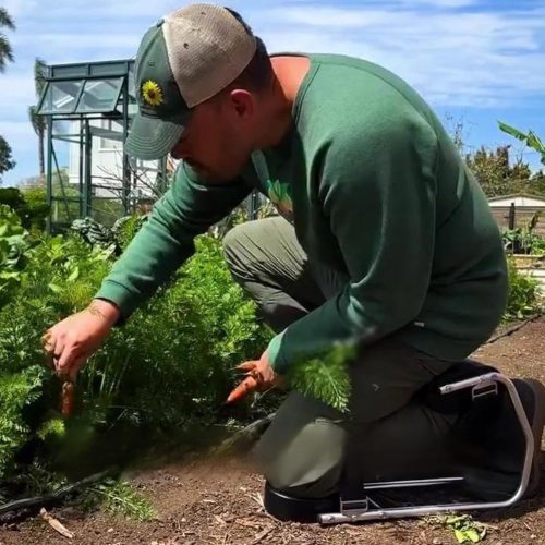 Firmiarii 園芸用膝座椅子