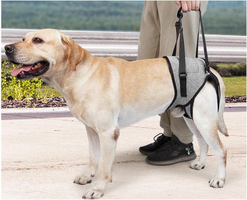 POTATO 犬用介護ハーネス XL