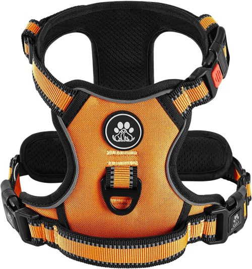 IVY&LANE 犬用ハーネス