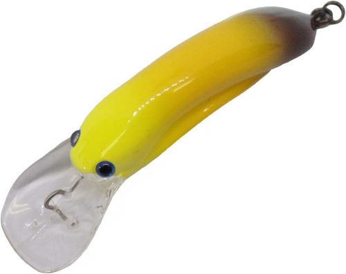 ディスプラウト(DAYSPROUT) ガメクラ