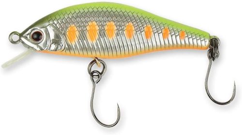 パームス(Palms) アレキサンドラ