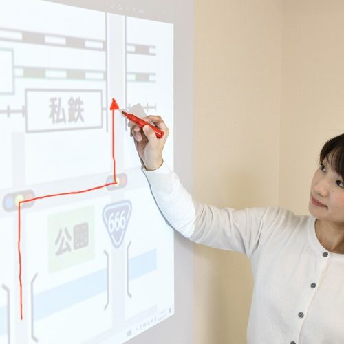 大洋(TAIYO) 映写と書き消しができるホワイトボードシート AE-1