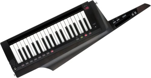 KORG キーター RK-100S 2