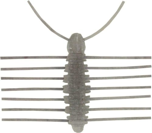 イマカツ(IMAKATSU) 三原虫