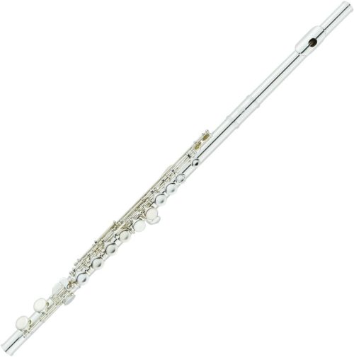 極美品！Bestler フルート 初心者〜上級者向け Seika 16穴 Cキー フルート セット 初心者・上級者向け 高級白銅