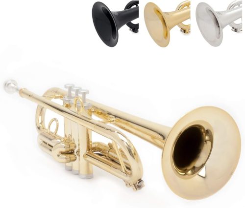 ピーインストゥルメンツ(PINSTRUMENT) トランペット pTrumpet hyTech PTRUMPET1HTG/GOLD