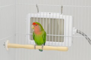 インコ用ヒーターのおすすめ10選。温度制御に役立つサーモスタットもご紹介
