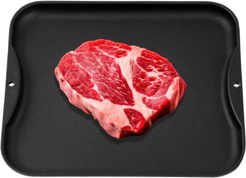 イワノ(IWANO) 一発解凍プレート