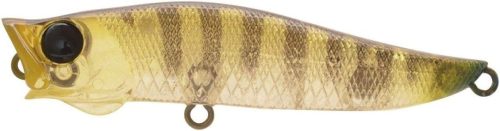 ジャクソン(Jackson) アールエーポップ