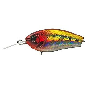 エバーグリーン(EVERGREEN) クラフト