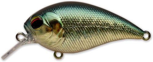 ペイフォワード(Pay Forward) ワンエイトSR