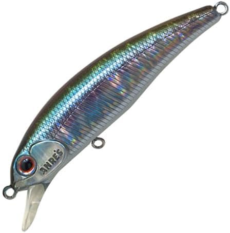 パームス(Palms) ストラウド SR-55F