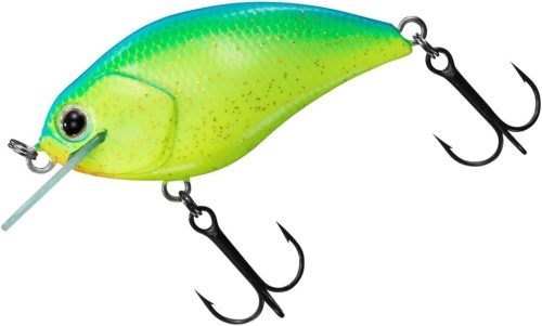 ダイワ(Daiwa) スティーズスクエア