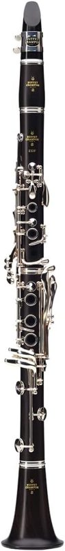 ビュッフェ・クランポン(Buffet Crampon) クラリネット E12F
