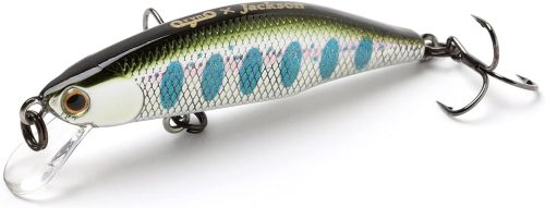 ジャクソン(Jackson) メテオーラ