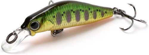 ジャクソン(Jackson) 奏