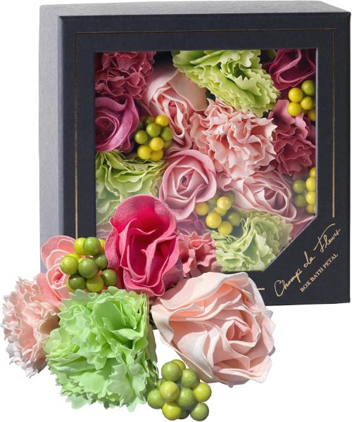 ノルコーポレーション(Nol Corp.) シャン・ド・フルール 入浴剤 ボックスバスペタル