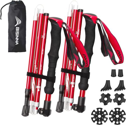 BISINNAトレッキングポール