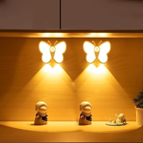 Pinaned 人感センサーライト 2個セット SS-BF-2M