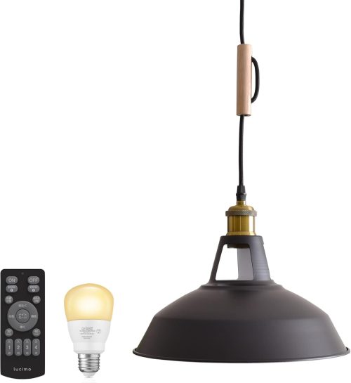 ベントータ(VENTOTA) ペンダントライト Bene pdt-bene