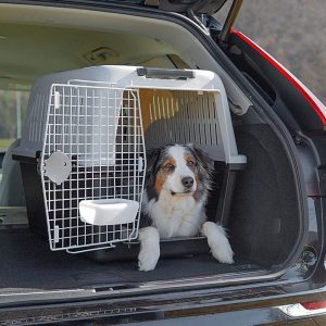 大型犬用クレートのおすすめ16選。車や室内で活躍する人気モデルをご紹介
