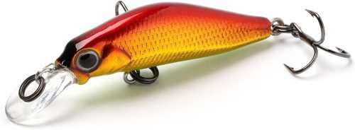 ジャクソン(Jackson) 奏