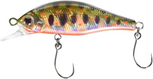 パームス(Palms) アレキサンドラ