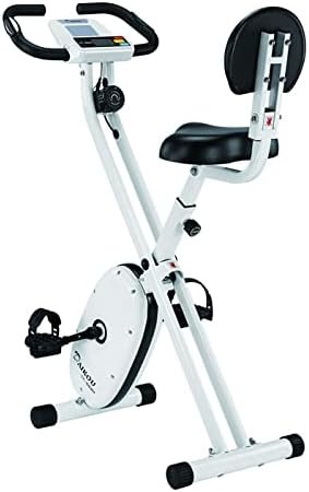 ダイコー(DAIKOU) 家庭用コンパクトバイク DK-662