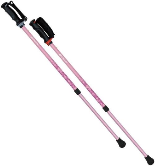 シナノ(SINANO) あんしん2本杖