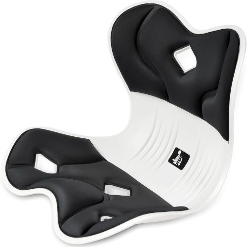 デズヤ(DEZIYUA) 骨盤サポートチェア