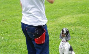 トリーツポーチのおすすめ14選。愛犬のおやつを持ち運べるアイテム