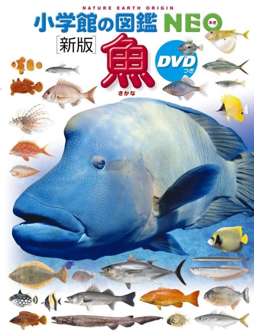 小学館 小学館の図鑑NEO 新版 魚 DVDつき