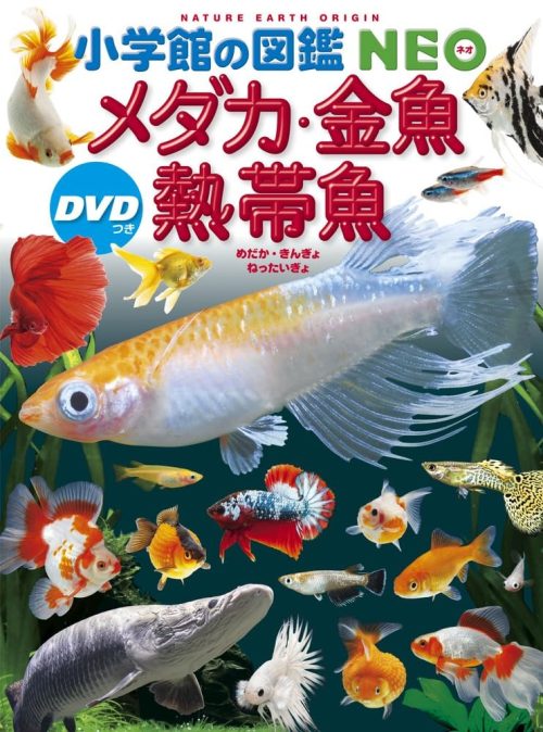 小学館 小学館の図鑑NEO メダカ・金魚・熱帯魚 DVDつき