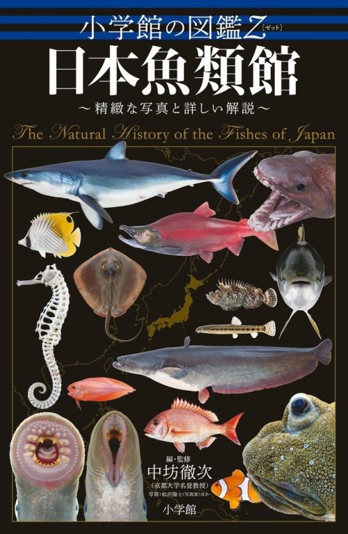 小学館 小学館の図鑑Z 日本魚類館 〜精緻な写真と詳しい解説〜