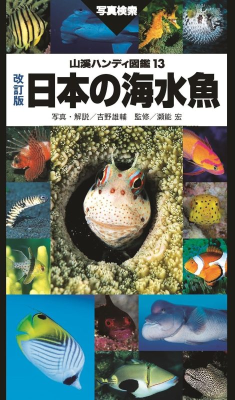 山と渓谷社 山渓ハンディ図鑑 改訂版 日本の海水魚