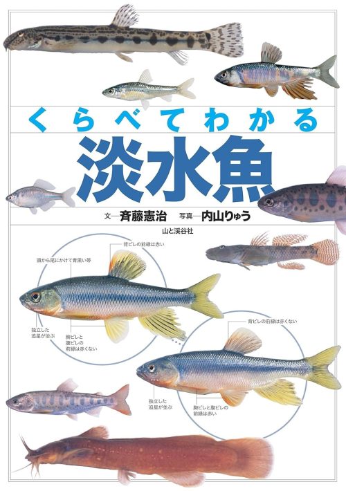 山と渓谷社 くらべてわかる 淡水魚