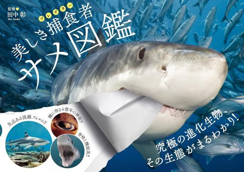 実業之日本社 美しき捕食者 サメ図鑑