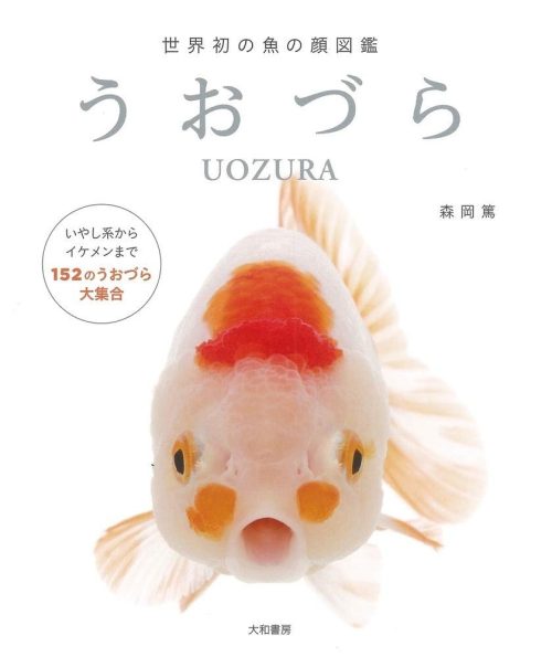 大和書房 世界初の魚の顔図鑑 うおづら